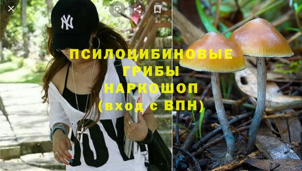 ГАЛЛЮЦИНОГЕННЫЕ ГРИБЫ Покачи