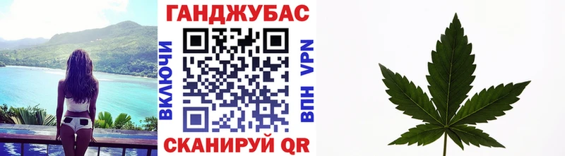 Бошки Шишки планчик  закладка  Струнино 
